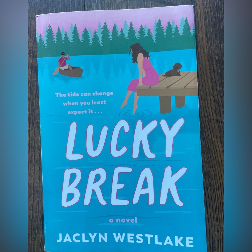 3 Books for $12! Lucky Break Novel💕GREAT Novel, Great Ending 💕